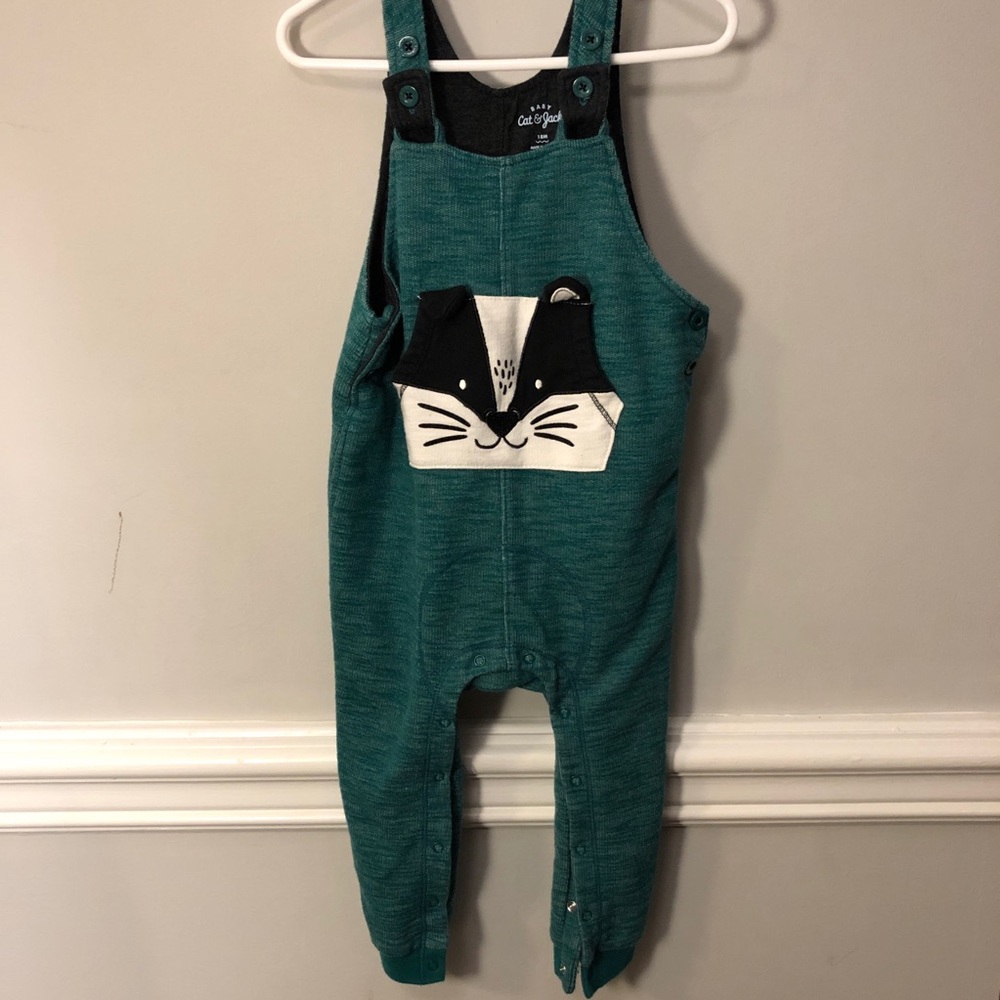 Cat & Jack raccoon overalls